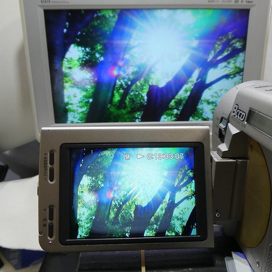 ソニーDCR-TRV900動作良好 MiniDVビデオカメラDVDダビングに最適