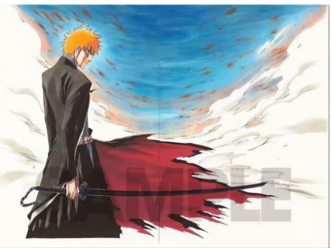 『BLEACH』額装高精細複製原画 No.5 <BLEACH EX.> BLEACH』額装高精細複製原画 No.5 <BLEACH EX.> BLEACH EX. 額装高精細