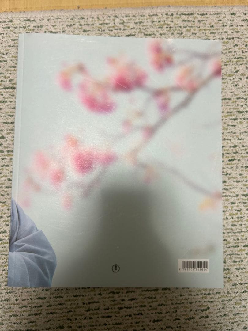 わたしの幸せな結婚 パンフレット 目黒蓮 SnowMan 今田美桜 - メルカリ