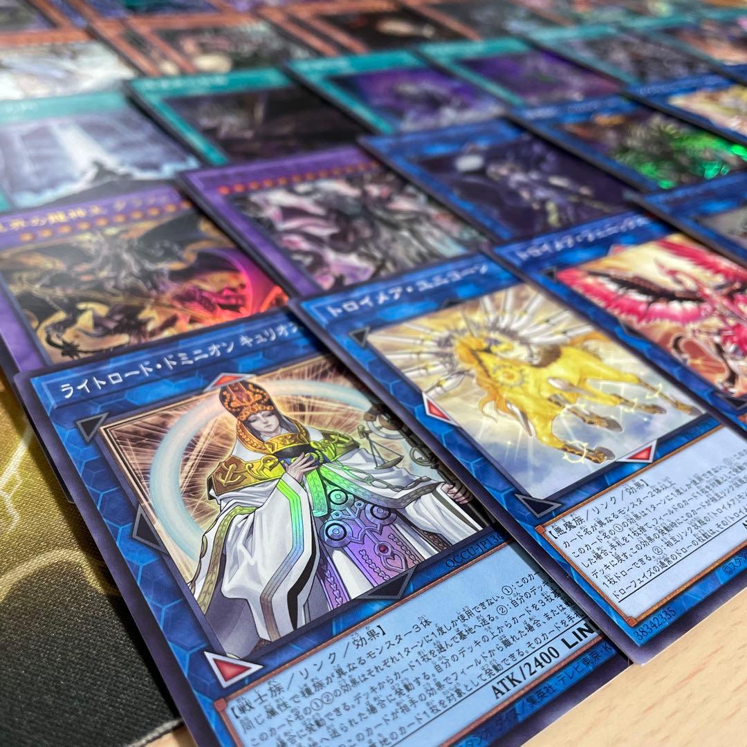 本格構築 未界域暗黒界デッキ スノウ グラファ ビッグフット ネッシー