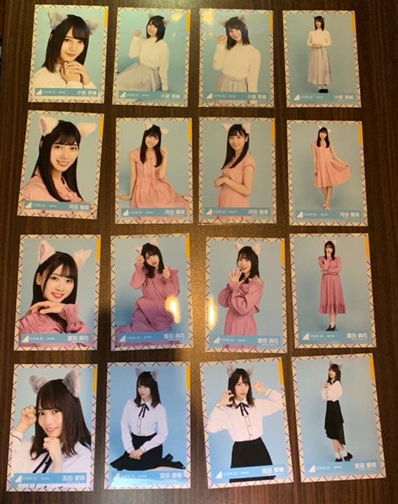 日向坂 猫耳 生写真 全メンバー コンプ