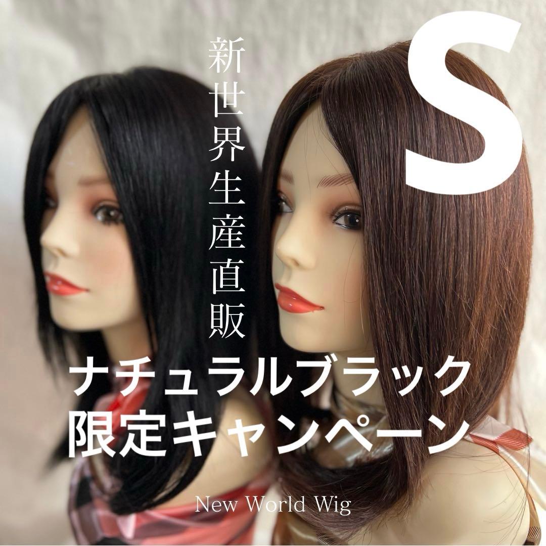 2025新世界 人毛100% ウィッグ フルウィッグ ブラック 医療ウィッグ