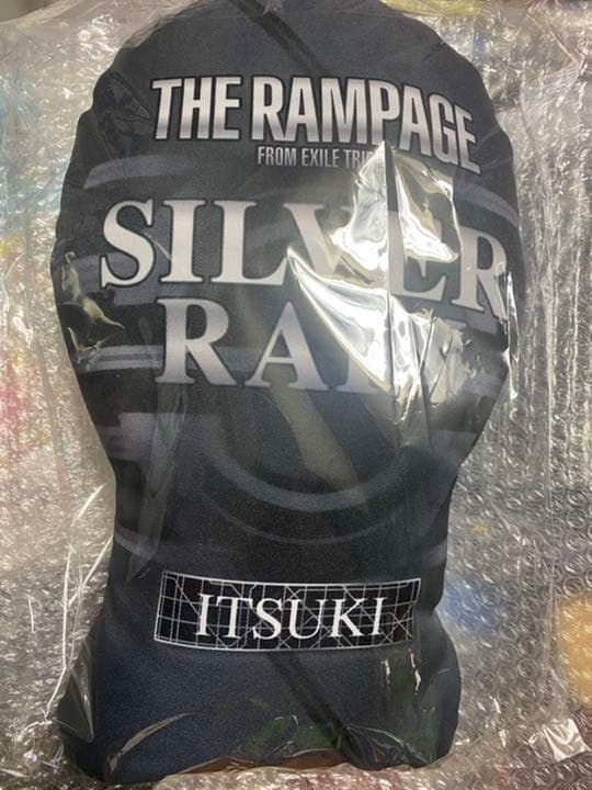 藤原樹 クッション SR