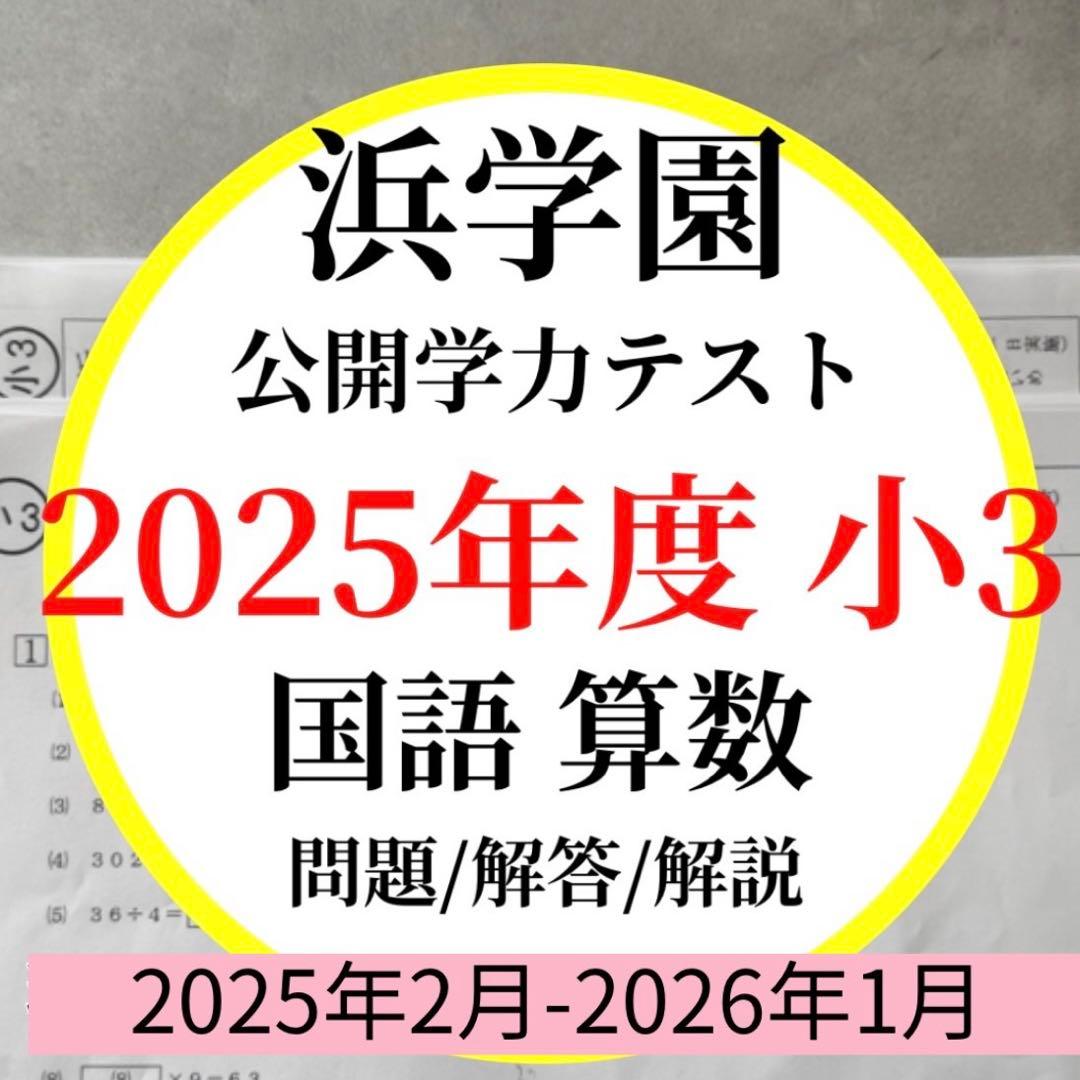 浜学園 公開学力テスト 小3 2025年 過去問 - メルカリ