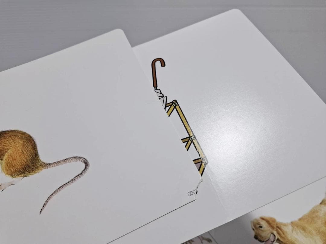 七田式 かな絵ちゃん ABセット 英語版 CD付き - メルカリ