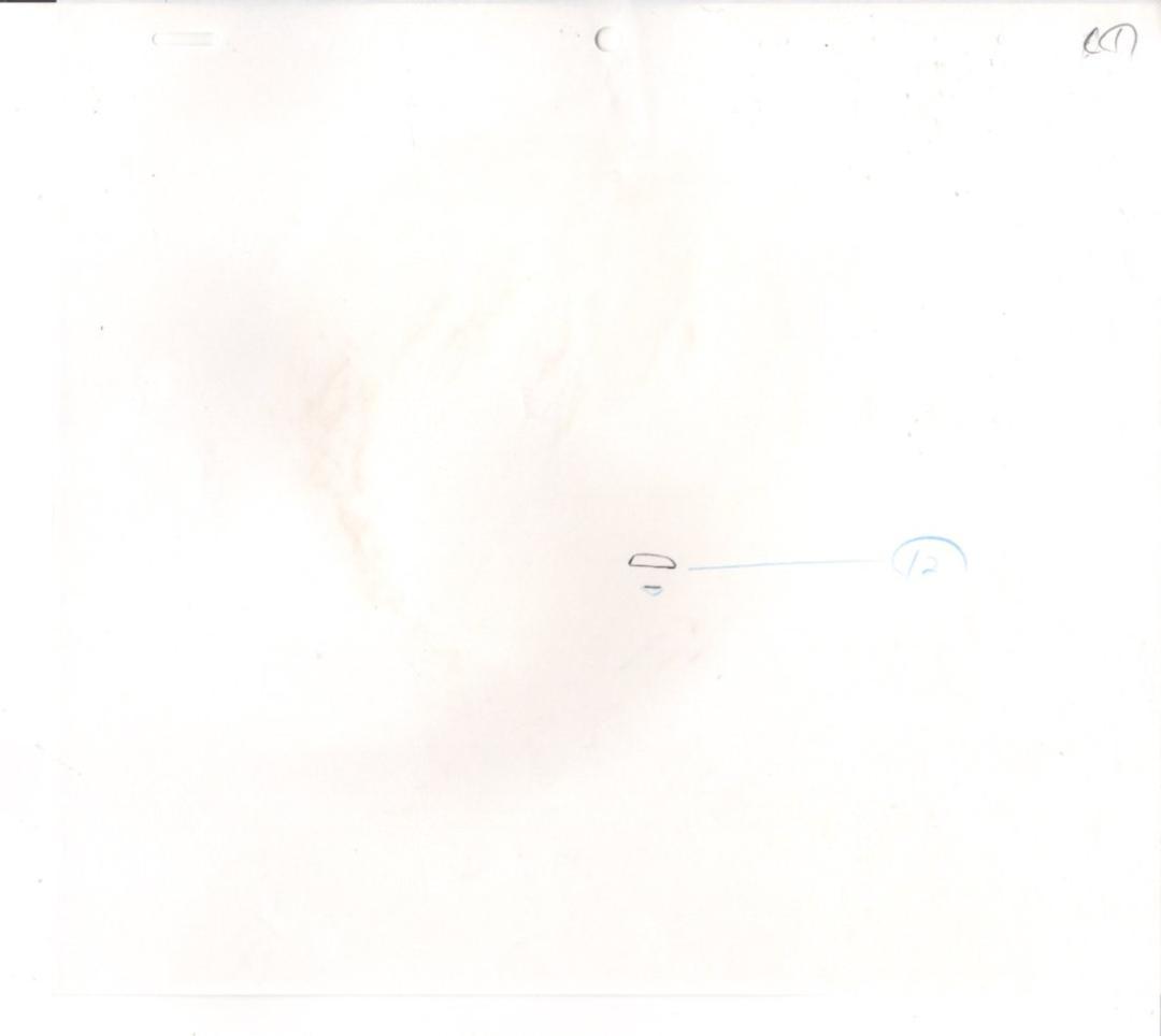 HUNTERxHUNTER　ハンターハンター　保証書付属　クラピカ　セル画