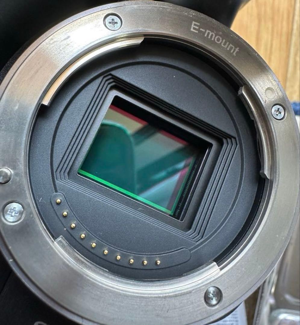 【動作品】SONY NEX-VG20 + E18-200mm F3.5-6.3