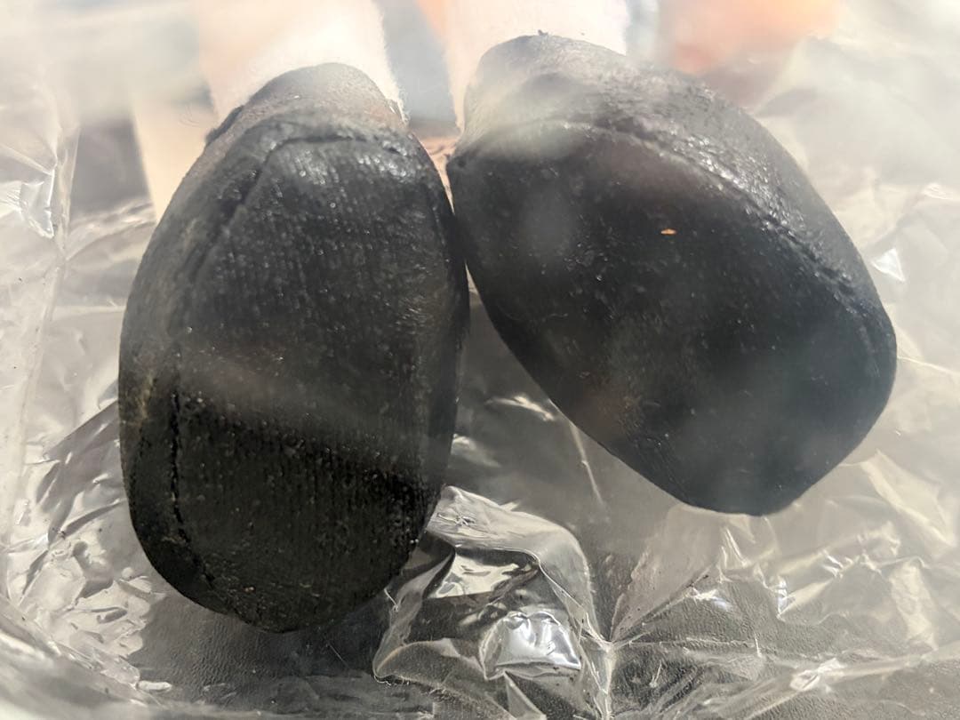 月姫 ぬいぐるみコレクション 第二夜 ソルインターナショナル 弓塚さつき