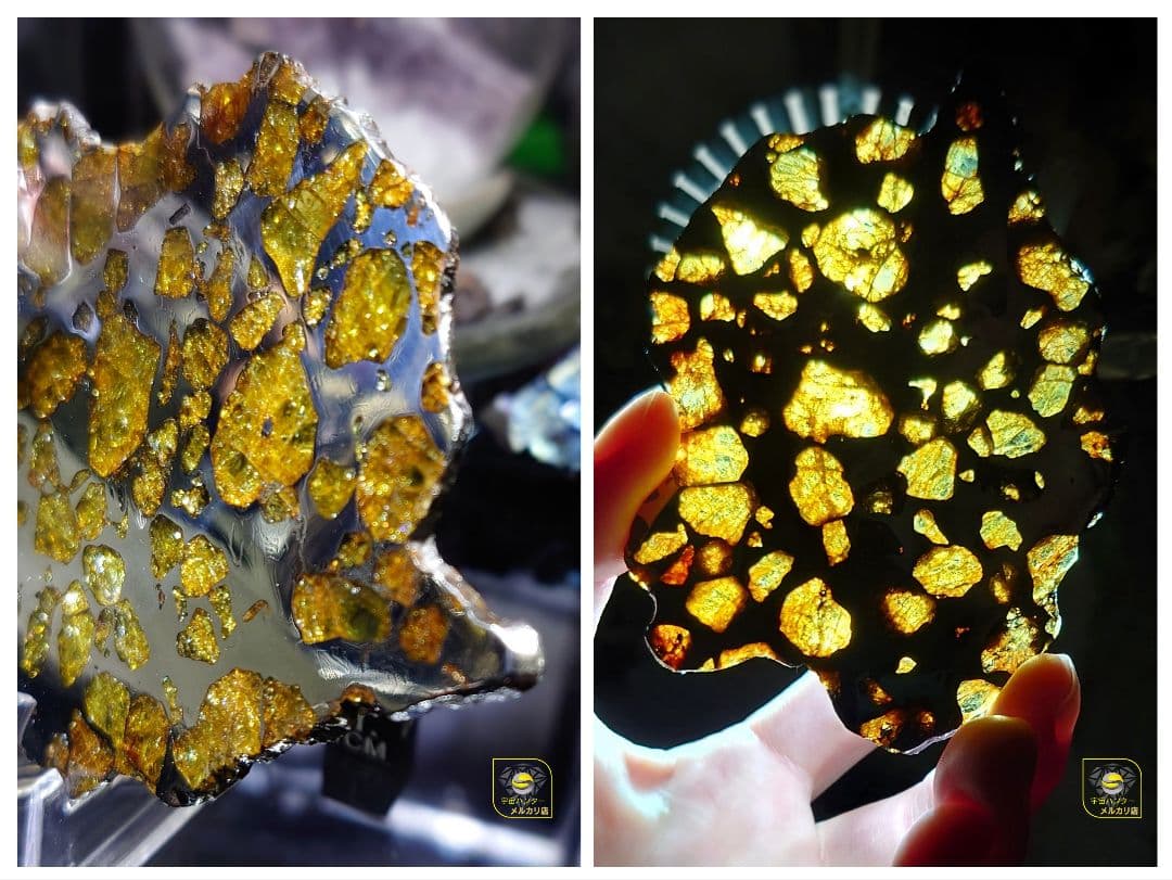 トッポー★65.59g イミラック パラサイト 隕石 Imilac⭐⭐⭐