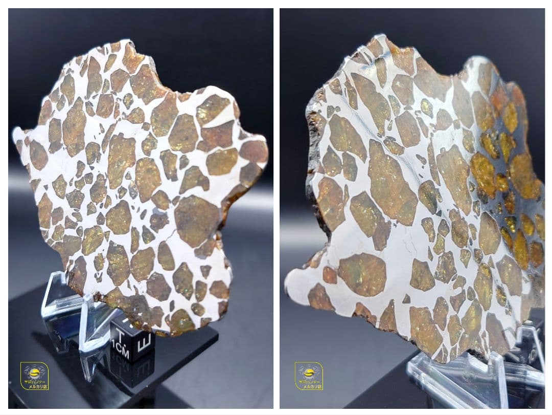 トッポー★65.59g イミラック パラサイト 隕石 Imilac⭐⭐⭐