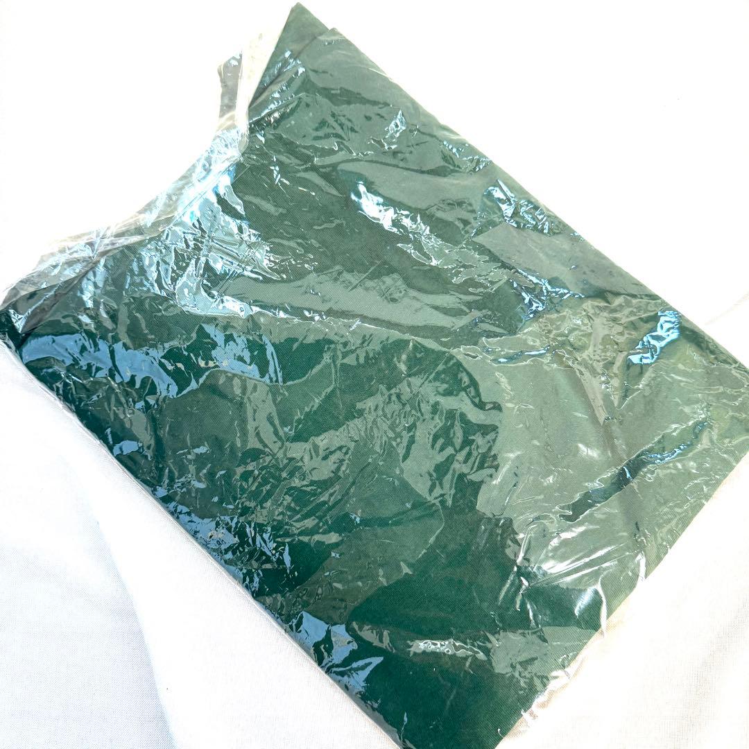 ハイスタンダード Tシャツ FAT ハイスタ XXL airjam ステッカー