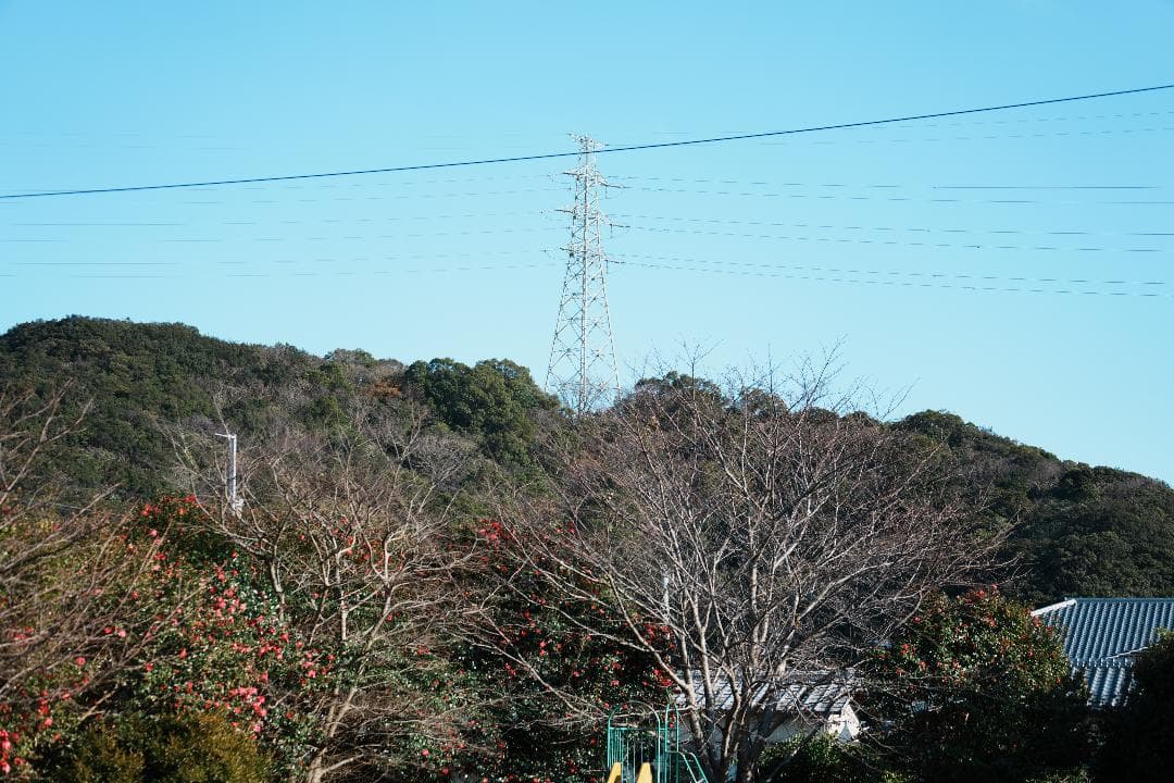 未使用級美品 SEL70300G プロ検証済み 家族の思い出を残す一本