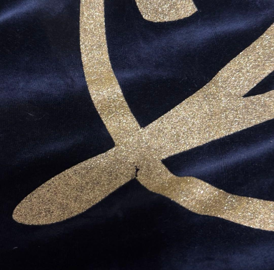 24karats ジャージ　セットアップ　ヒョウ柄　ベロア　EXILE Mサイズ