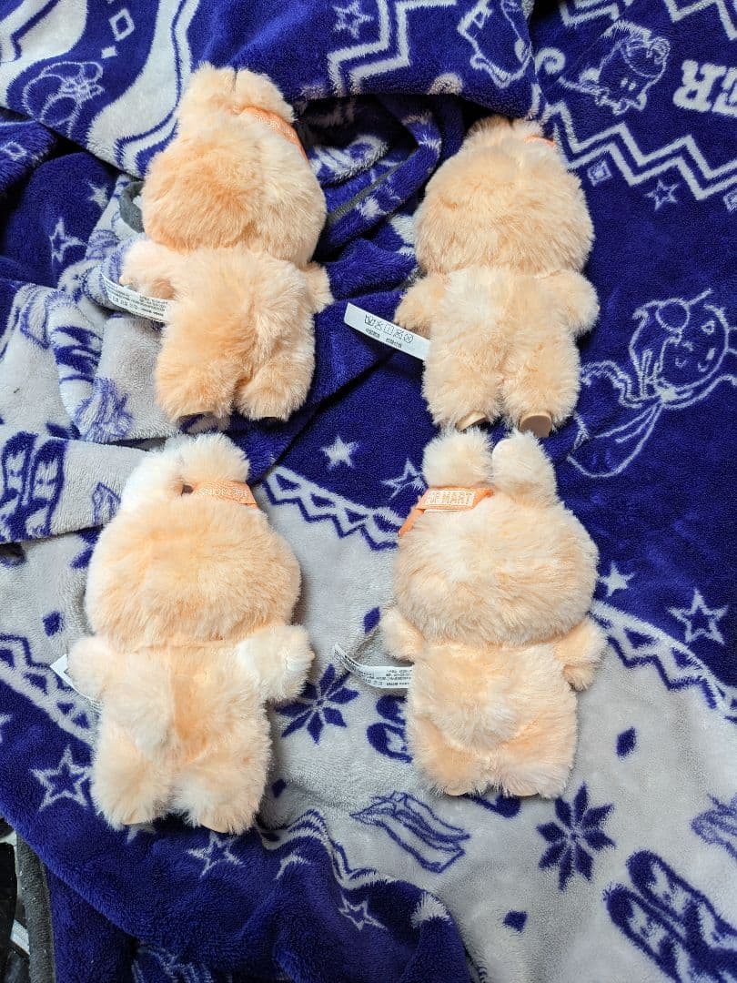 正規品 ラブブ まとめ売り ラブブBOX アソート