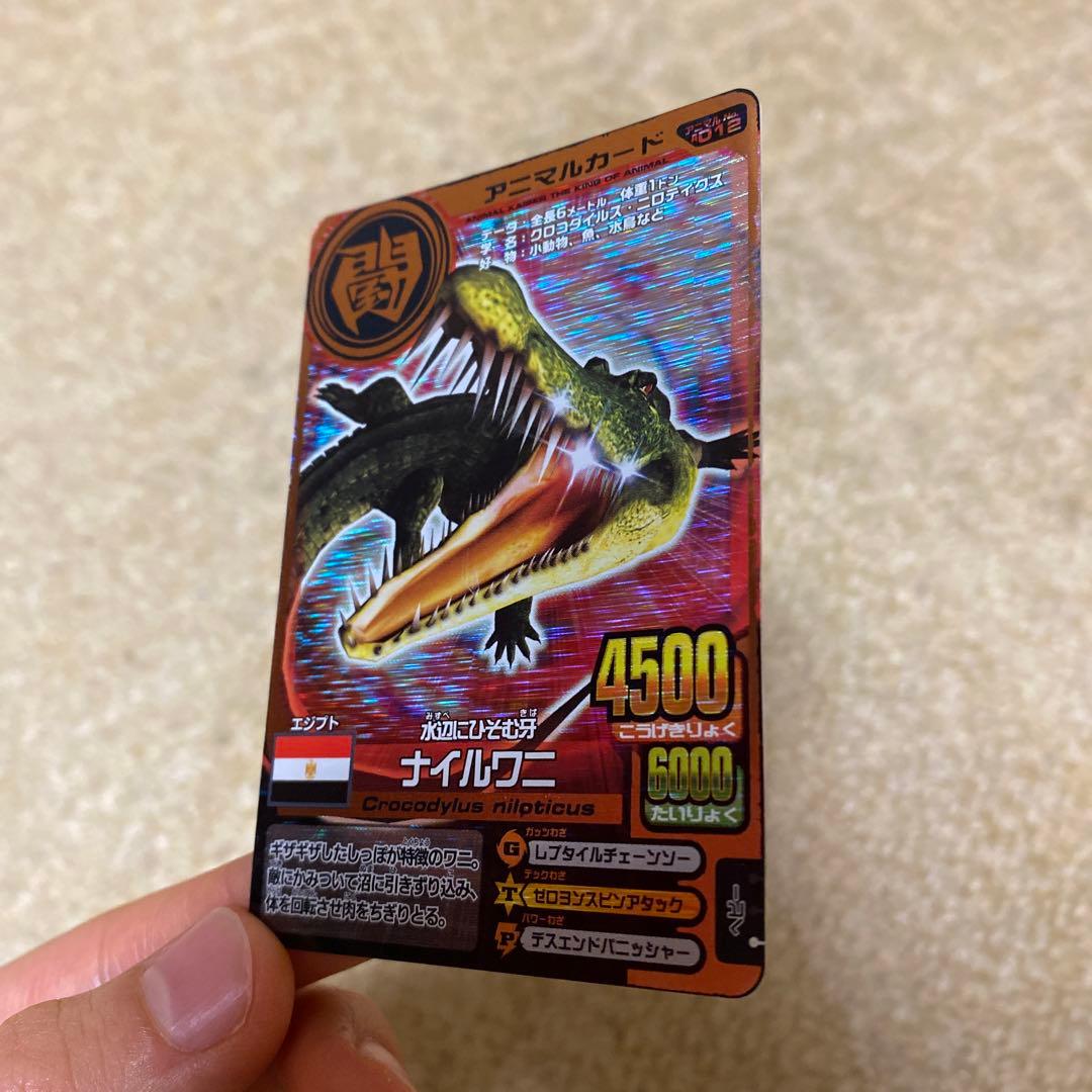 百獣大戦 アニマルカイザー カードセット - メルカリ