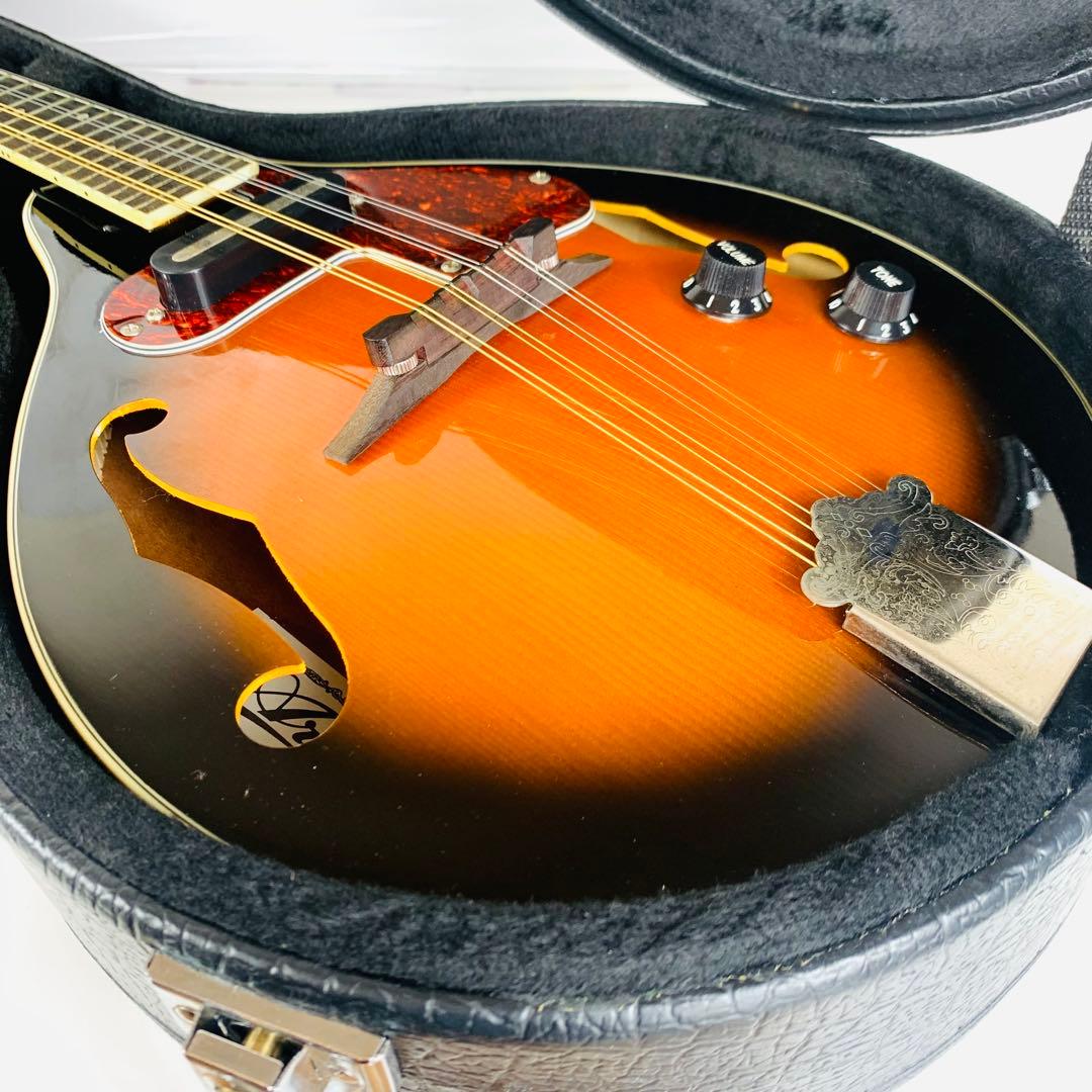 美品】Aria AM-20E エレキマンドリン｜ピックアップ搭載｜ケース付き