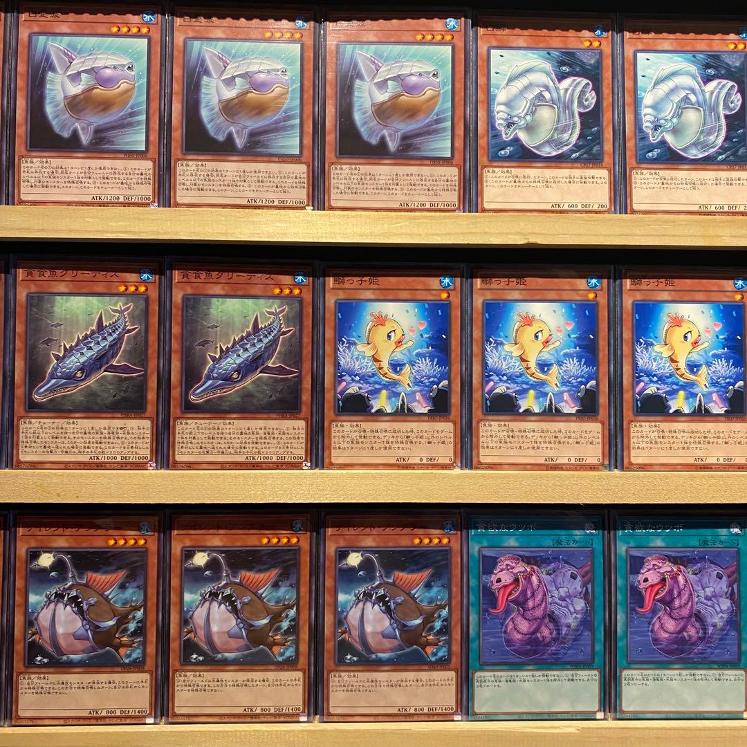 即日発送！白闘気ホワイトオーラデッキ　白闘気双頭神龍　瑚之龍