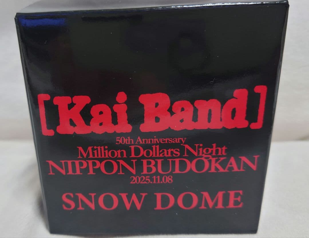 甲斐バンドKai Band 日本武道館VIP席特典　スノードーム 50周年記念