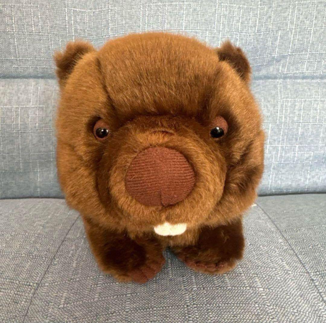 五月山動物園 限定 ウォンバット フク ぬいぐるみ - メルカリ