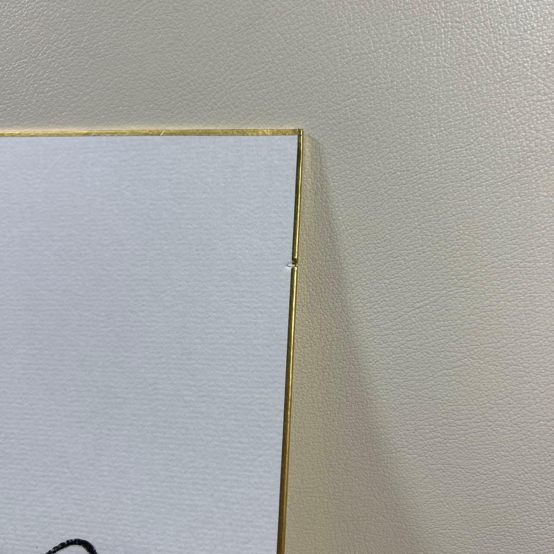 麻美ゆま 直筆サイン色紙 ＋イベント写真6枚セット 2