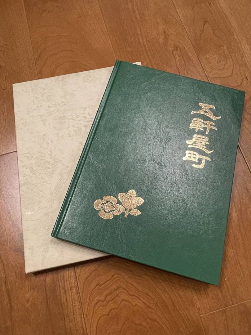 れいんぼー ニューレジストン ( ニューレジ ) 研磨用 クロスインホイル A240 100