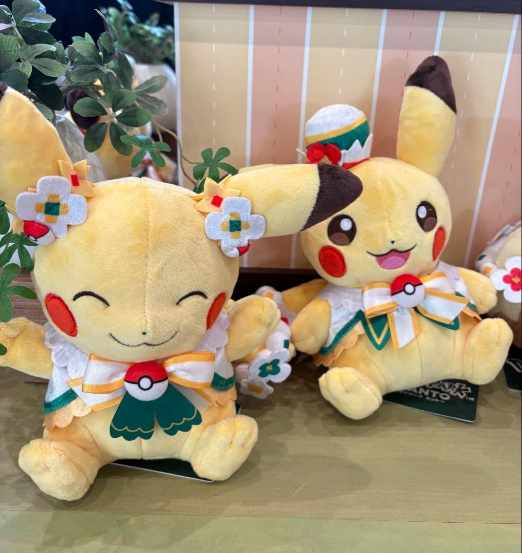 ポケパークカントー 限定 ピカチュウ ぬいぐるみ 2点セット - メルカリ