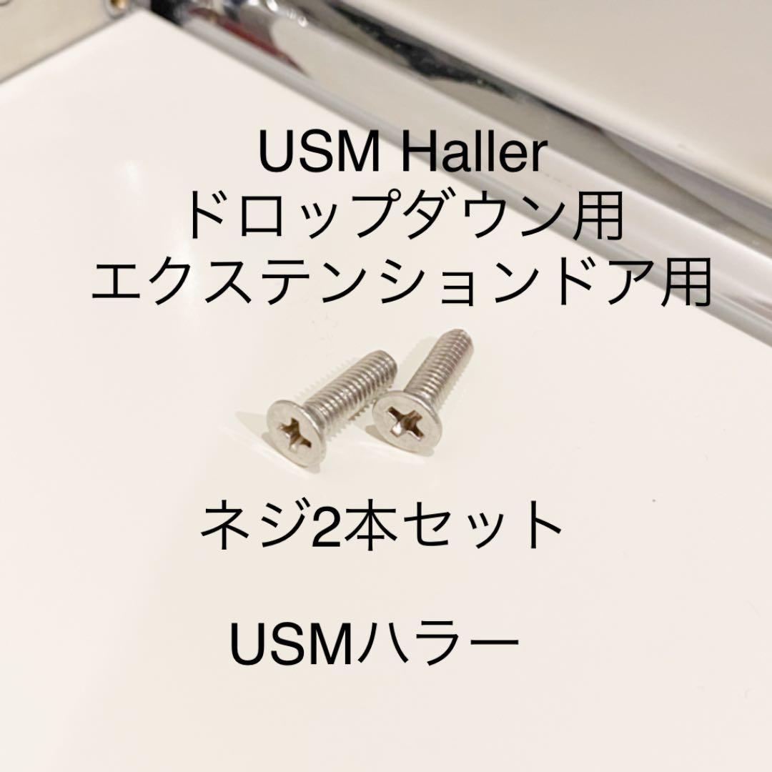 送料込□USMハラーHallerドロップダウン-エクステンションドア用ネジ2