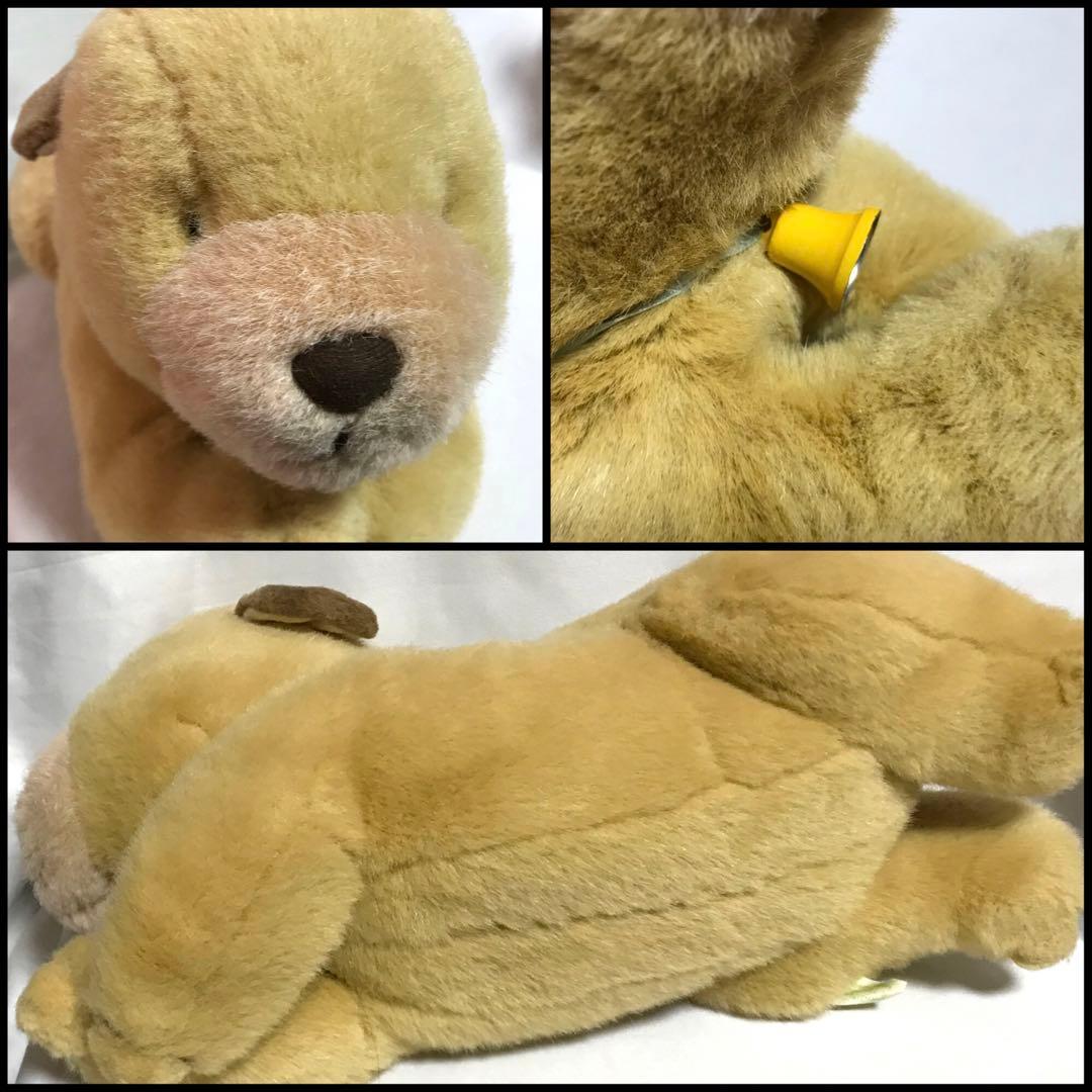 ころわん　ぬいぐるみ　絵本