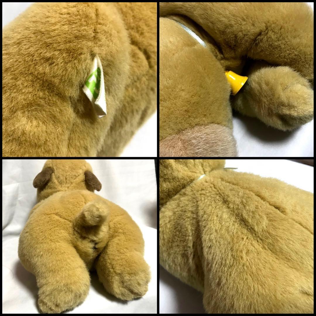 ころわん　ぬいぐるみ　絵本