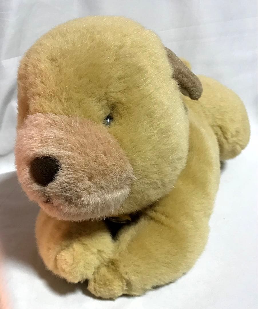 ころわん　ぬいぐるみ　絵本