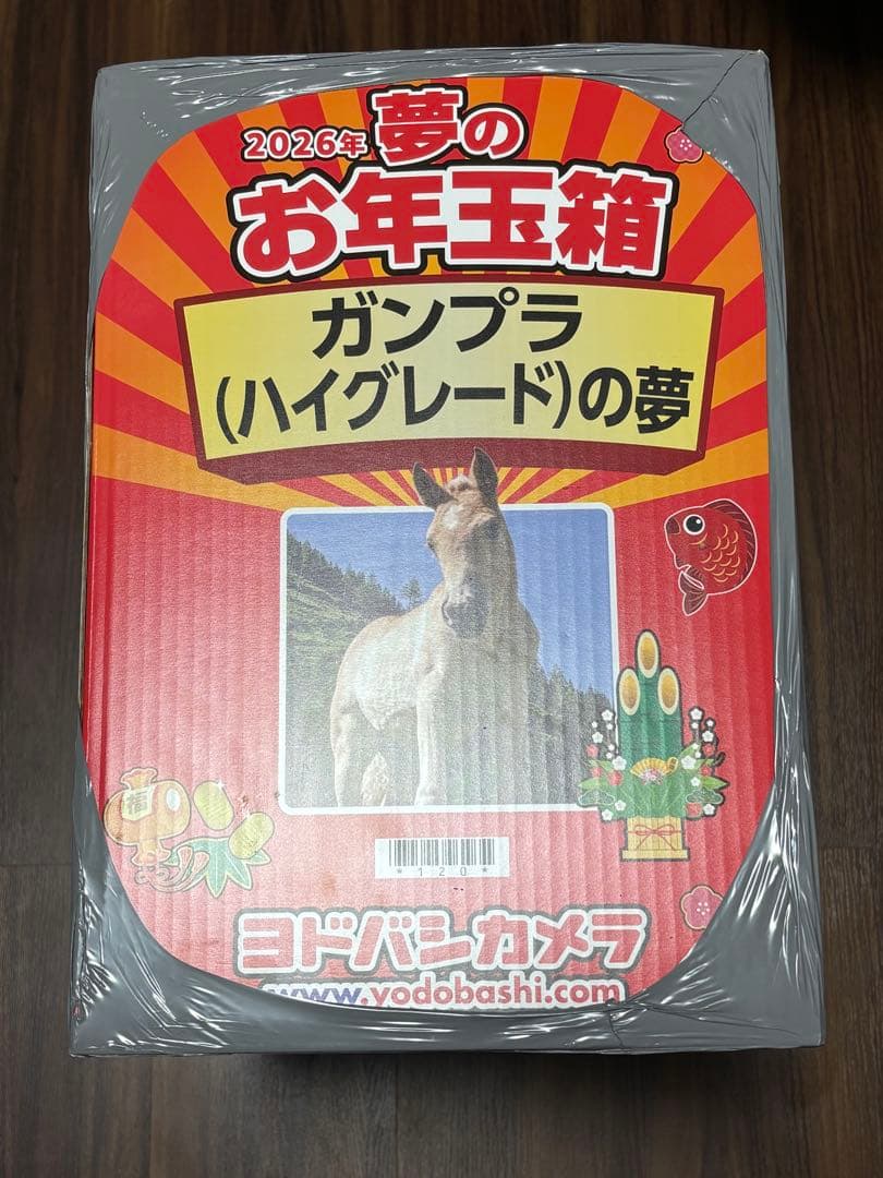 2026年 ヨドバシカメラ 福袋 ハイグレードの夢 ガンプラ ヨドバシガンプラ福袋2026】ハイグレードとMGの中身ネタバレ！神ツール