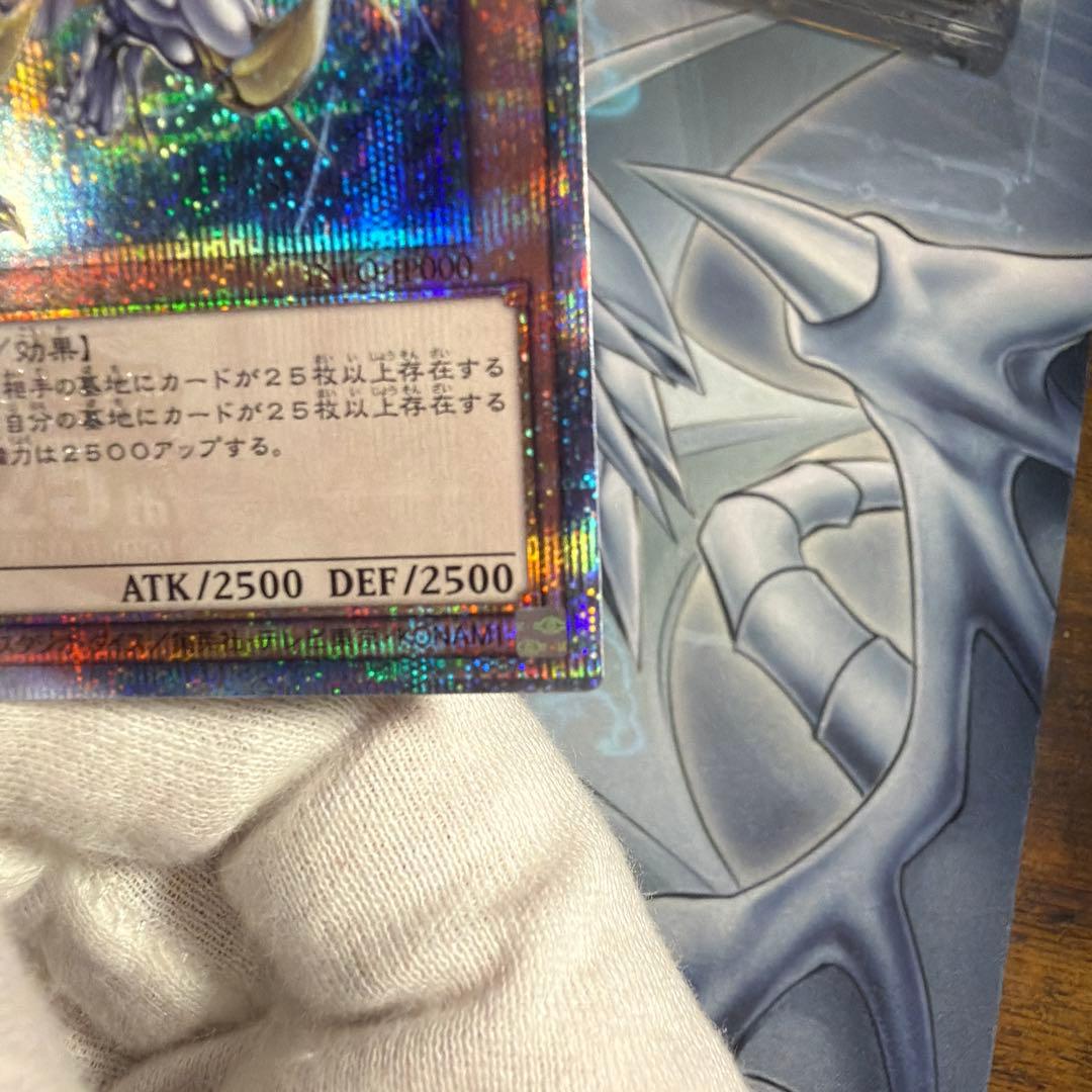 誇りと魂の龍 クオシク　アジア