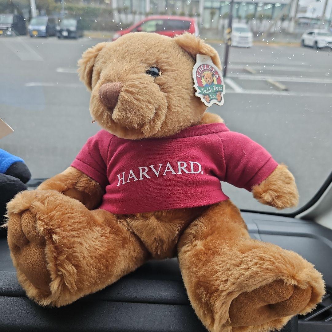 HARVARDロゴ付きクマのぬいぐるみ2体ブコウスキー1体黒クマ1体セット