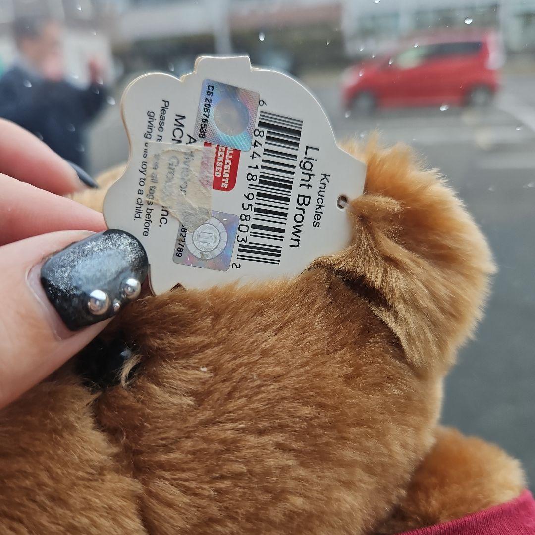 HARVARDロゴ付きクマのぬいぐるみ2体ブコウスキー1体黒クマ1体セット