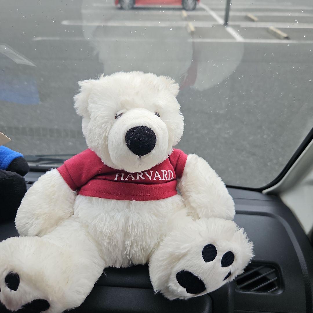 HARVARDロゴ付きクマのぬいぐるみ2体ブコウスキー1体黒クマ1体セット