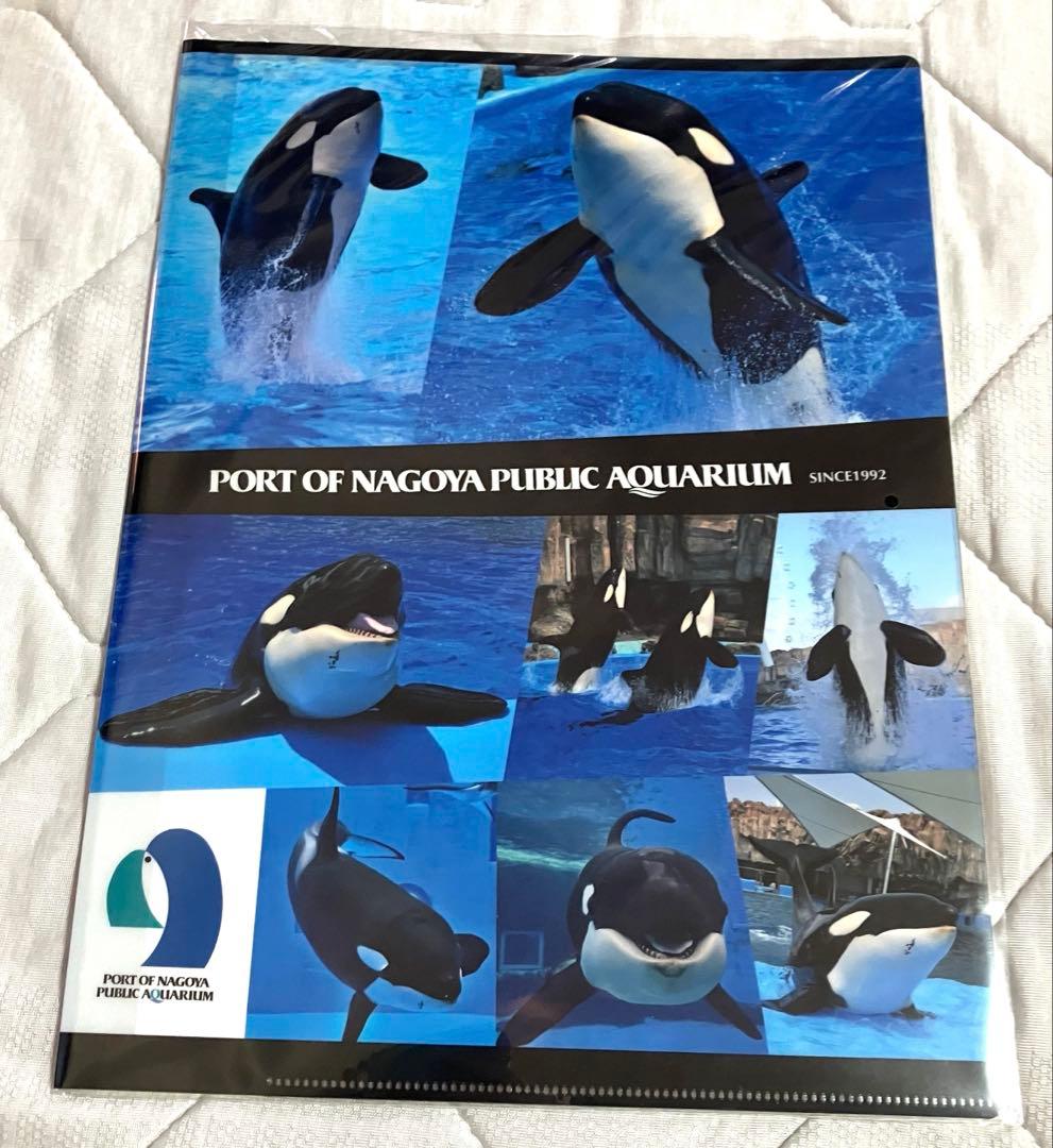 レア　名古屋港水族館限定　クリアファイル　ポストカード
