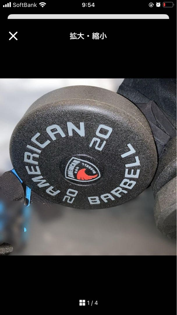 ふぐり2 ふくさ リバーシブル 341762