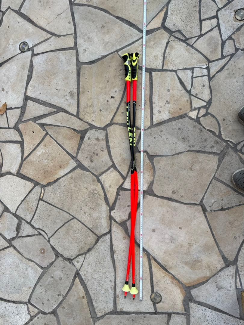Leki WCR TBS GS用 3D 115cm アルミ製 LEKI USA - WCR TBS GS 3D - Ski Racing Poles - All Winter Poles