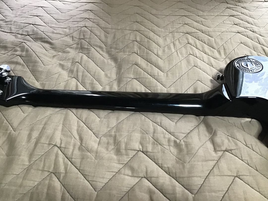 Epiphone Les Paul studio ソフトケース付