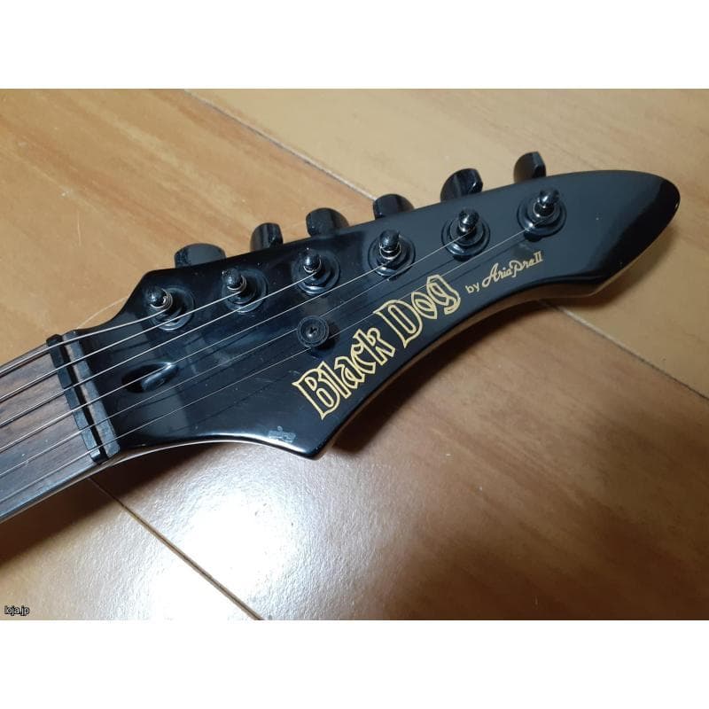 GUITAR ARIA PRO II BLACK DOG - メルカリ