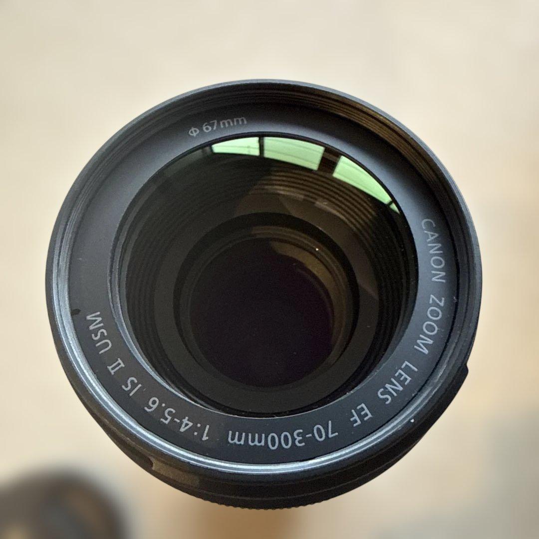 レンズ(ズーム) Canon EF 70-300mm f/4-5.6 IS USM