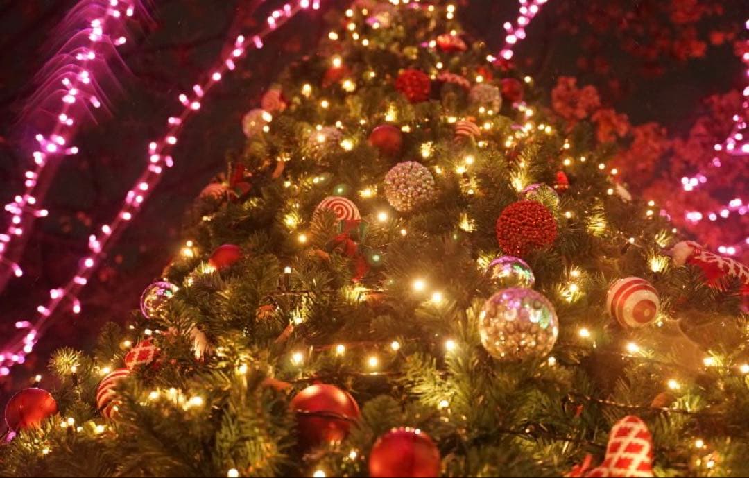 レンズ(ズーム) Tamron 70-300mm F/4.5-6.3 Di III RXD