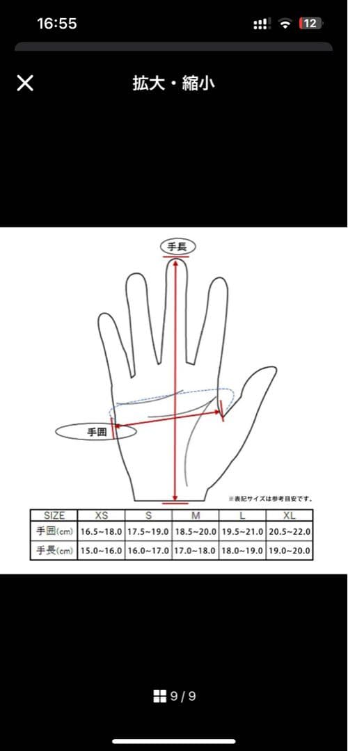 Lamp gloves -Winter glove- Black size Ｌ