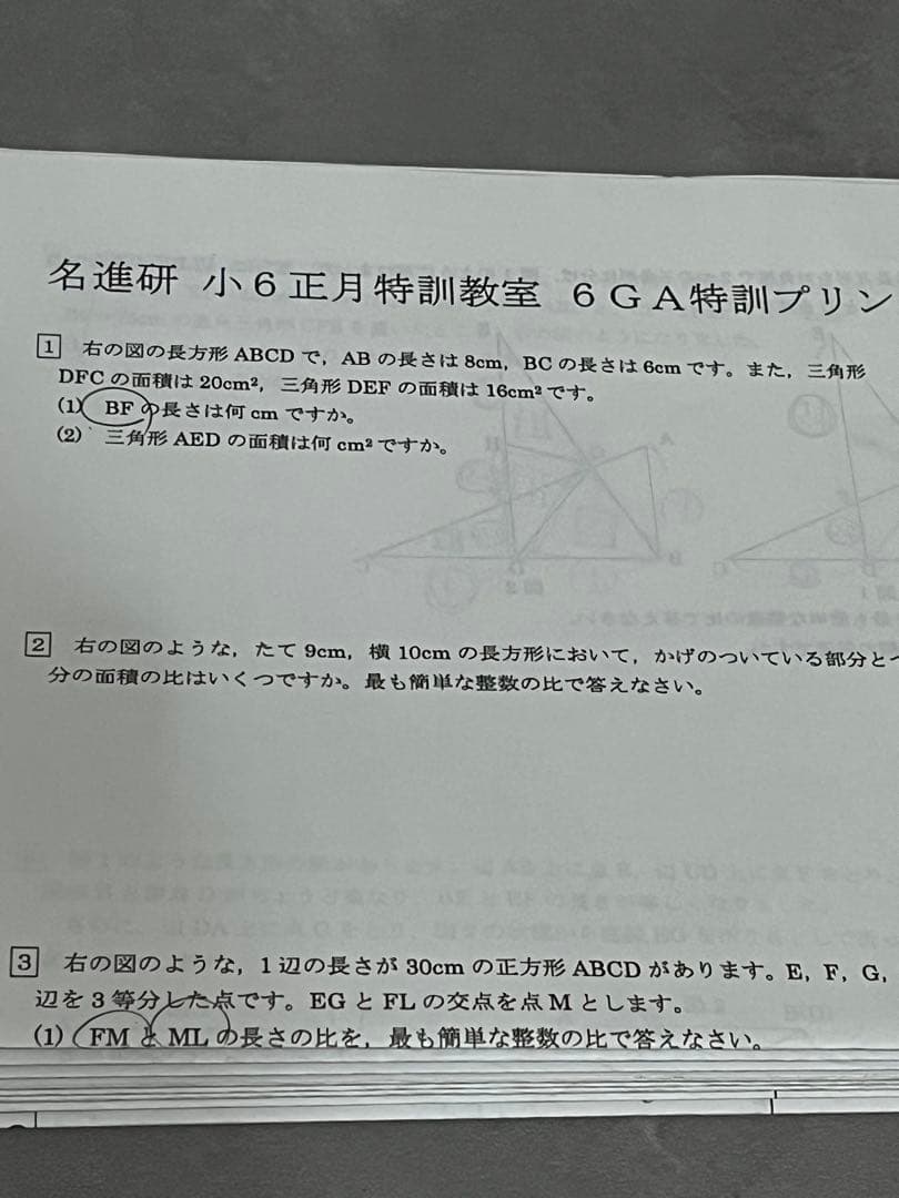 名進研 小6 サンデー名進研⭐︎志望校別特訓⭐︎正月特訓 - メルカリ