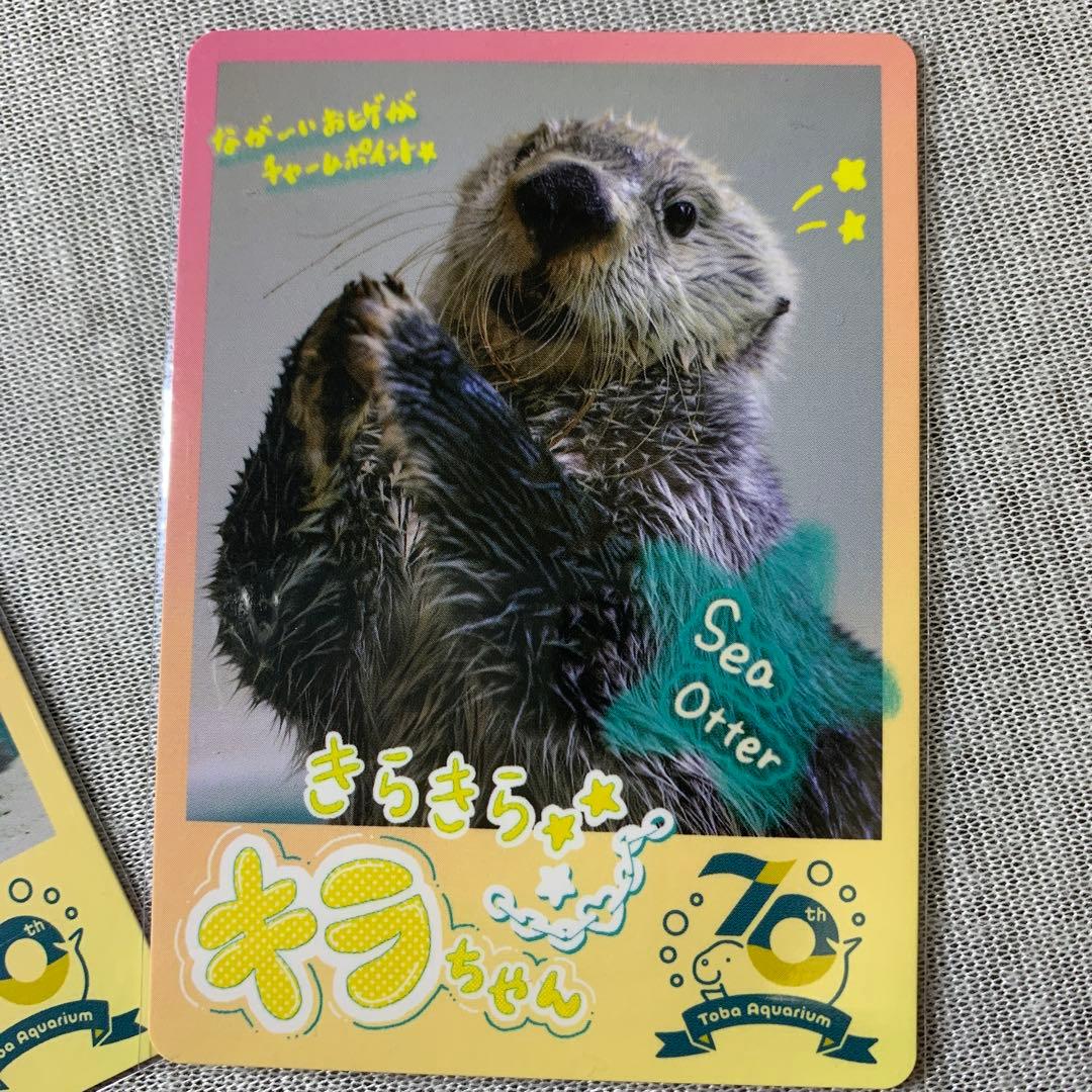 鳥羽水族館 70周年記念 コレクションカード メイ キラ - メルカリ