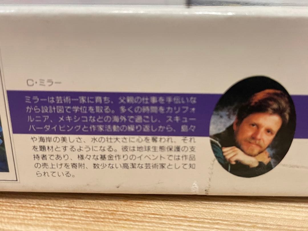 ヴィヴィッドスプレンダー　cミラー　パズル1000デビッドクリストファーミラー