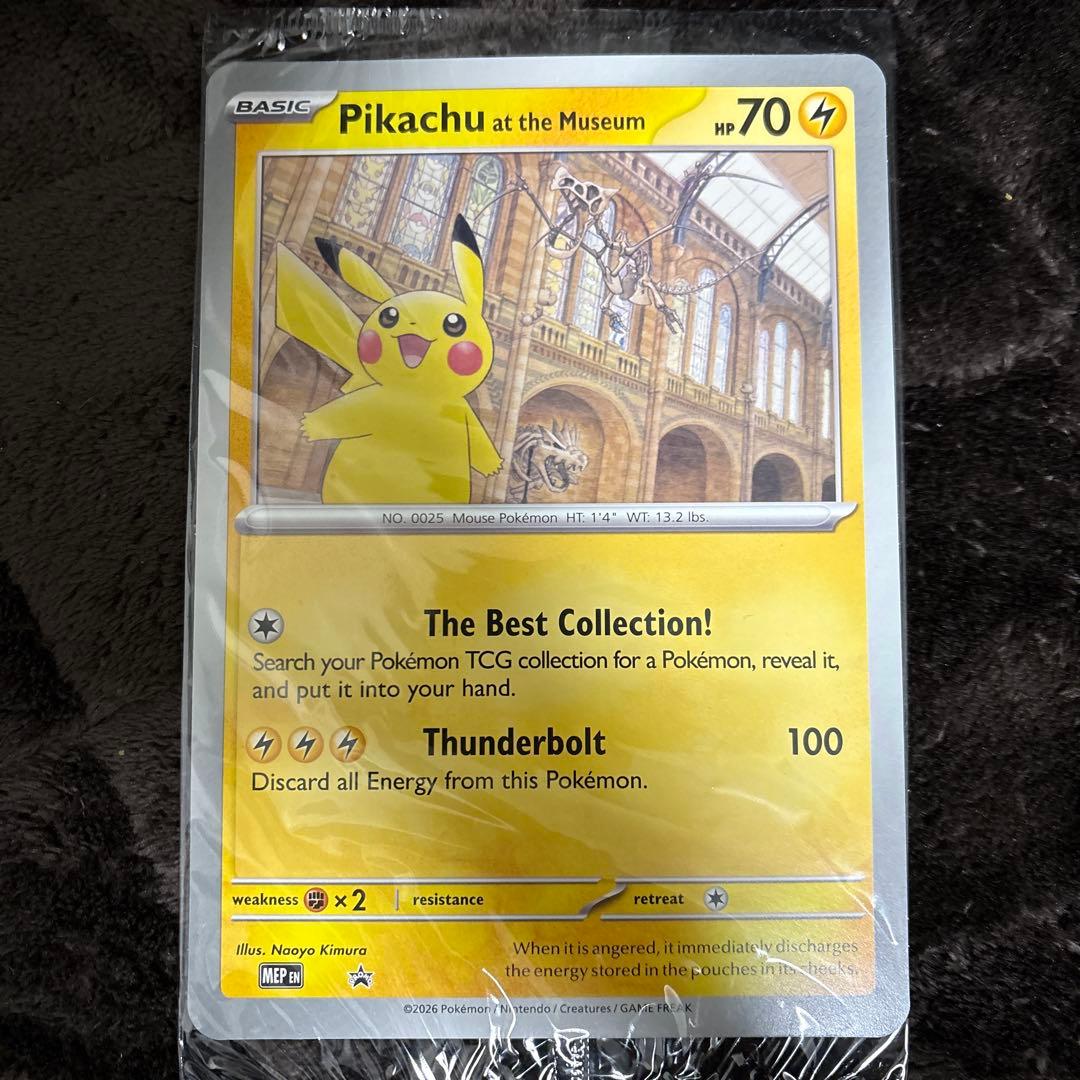 Pikachu at the Museum ピカチュウ ロンドン自然史博物館 - メルカリ