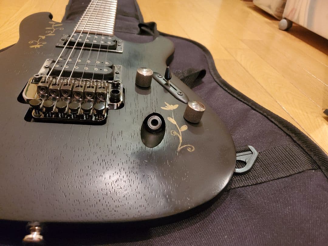 ギター Ibanez s520
