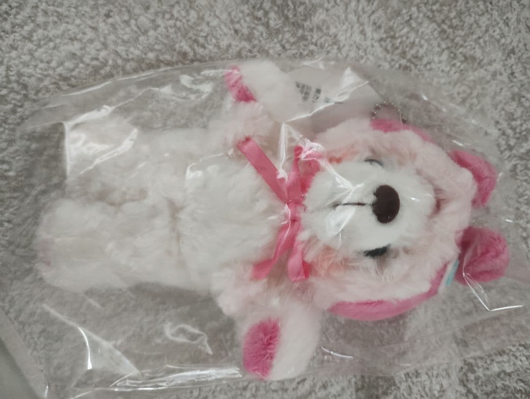 未開封の新品 ご当地ベア バラ売りOK