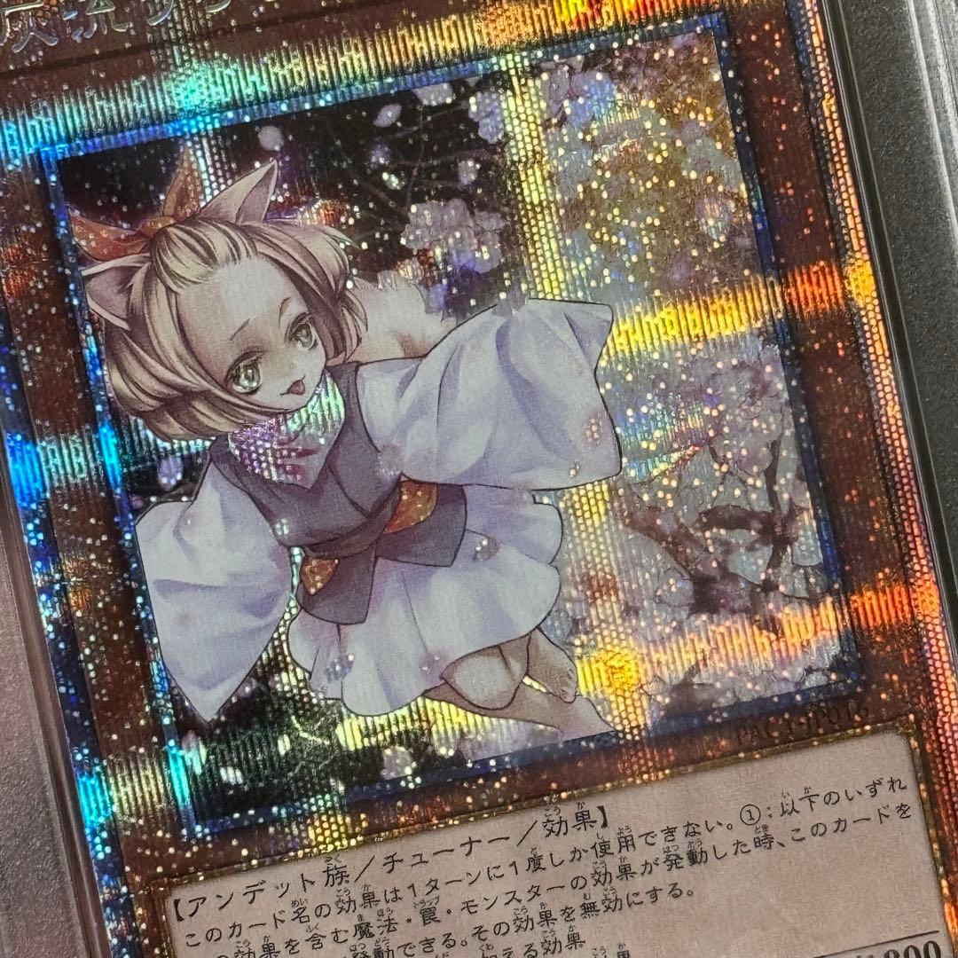 灰流うらら　プリシク　PSA10